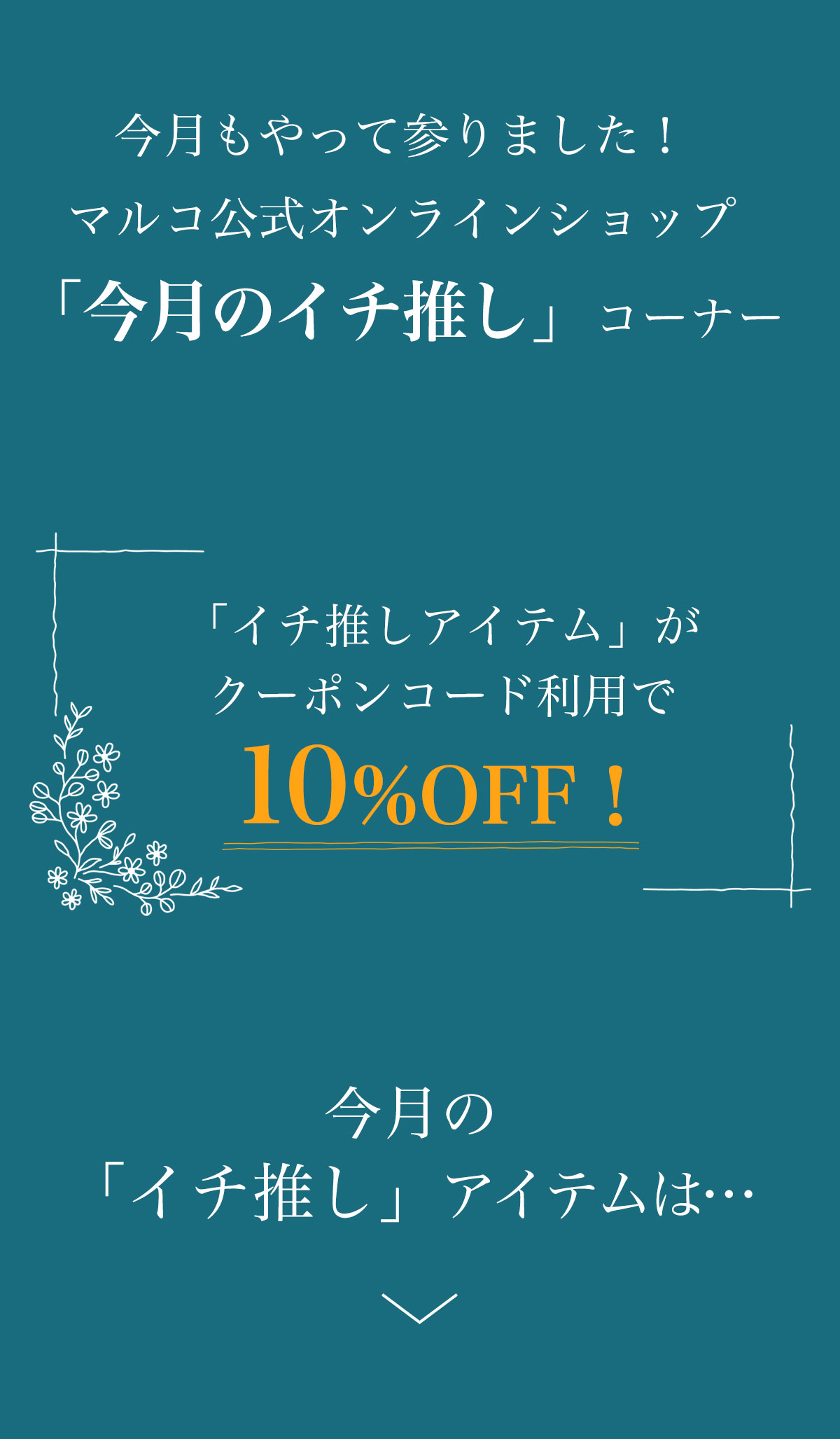 マルコ公式オンラインショップ今月のイチ推し